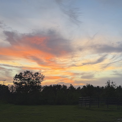 Farm to Table Dinner